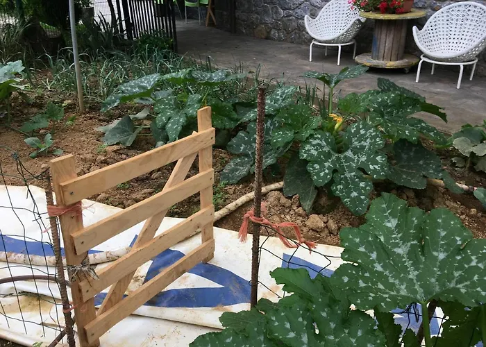 Baiolei * 아스페이티아