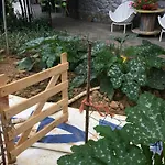 Baiolei * Azpeitia