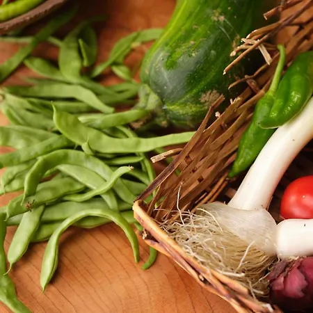 Country house Baiolei Azpeitia